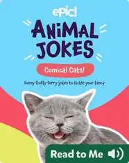 Animal Jokes: Comical Cats!