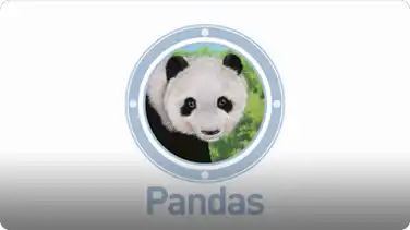 Amazing Animals: Pandas book