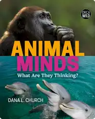 Animal Minds: What Are They Thinking?