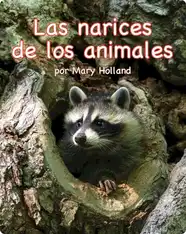 Las narices de los animales