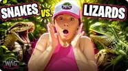 Snakes vs. Lizards: What's the Difference?