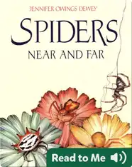 Spiders Near and Far