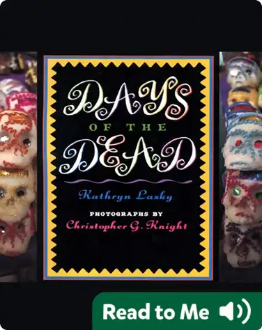 Days of the Dead book