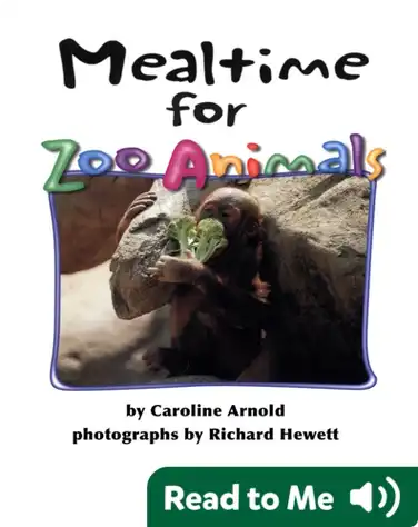 Mealtime for Zoo Animals book