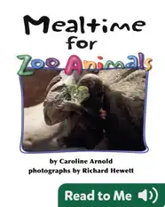 Mealtime for Zoo Animals