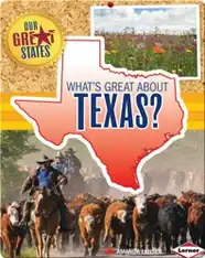 What's Great about Texas?