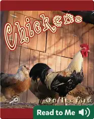 Chickens On The Farm