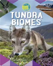Tundra Biomes