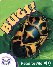 Bugs!