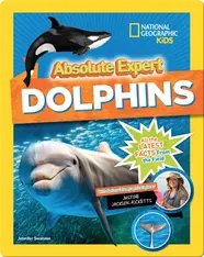 Absolute Expert: Dolphins