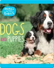 Dogs and Puppies
