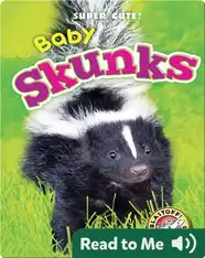 Super Cute! Baby Skunks