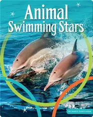 Animal Swimming Stars