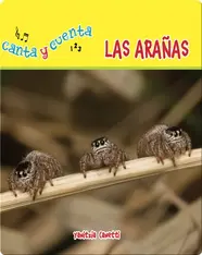 Las arañas