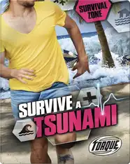 Survive A Tsunami