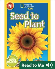 National Geographic Readers: Seed to Plant