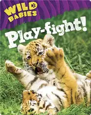 Play-fight!