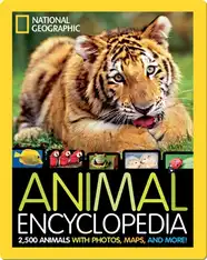 National Geographic Animal Encyclopedia