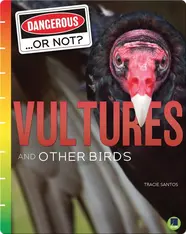 Dangerous...or Not?: Vultures and Other Birds