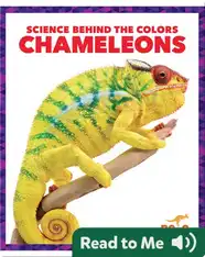 Science Behind the Colors: Chameleons
