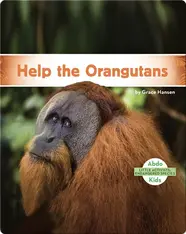 Little Activists: Help the Orangutans
