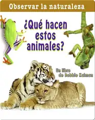 ¿Qué hacen estos animales?