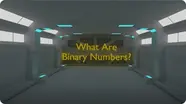 What Are Binary Numbers?