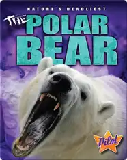 The Polar Bear