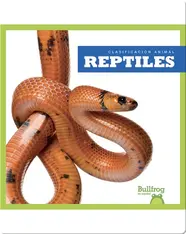 Clasificación Animal: Reptiles