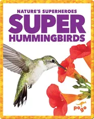 Super Hummingbirds