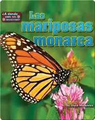 Las mariposas monarca (butterflies)