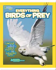 National Geographic Kids Everything Birds of Prey